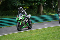 Lower Group Green Bikes